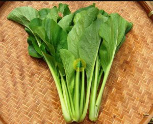 Hạt giống Cải ngọt