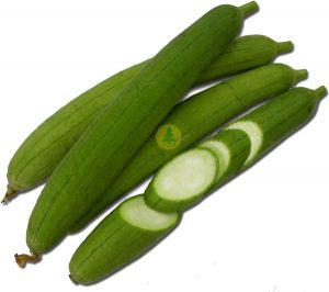 Hạt giống mướp hương thái lan