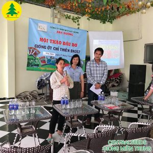Ớt cay chỉ thiên F1 BN357